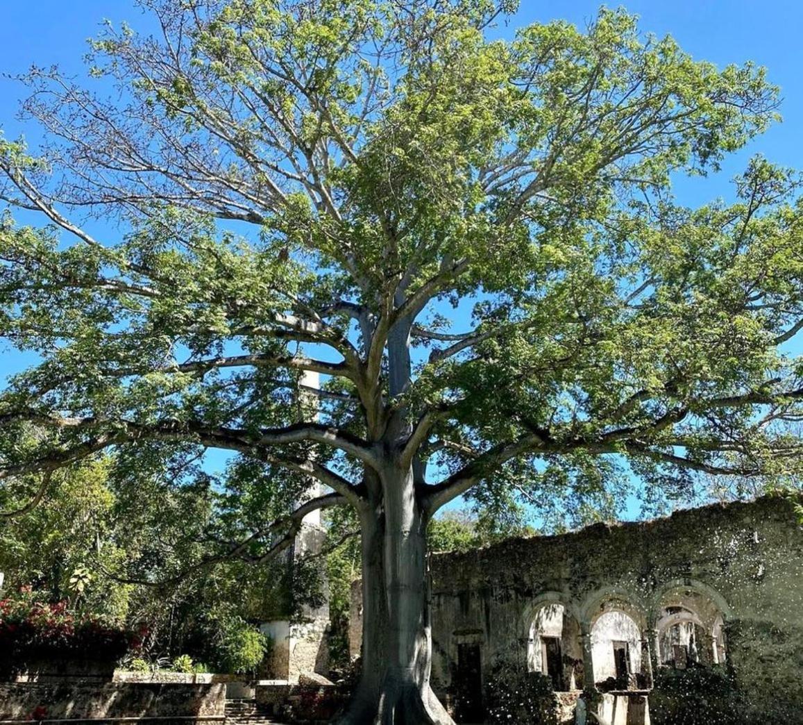 Hacienda Uayamon Hotel Buitenkant foto